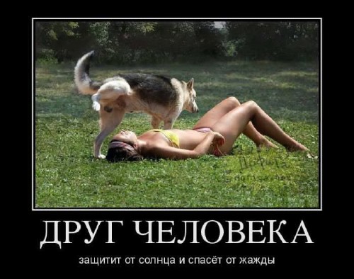 Подборка демотиваторов № 584