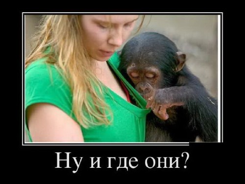 Подборка демотиваторов № 585